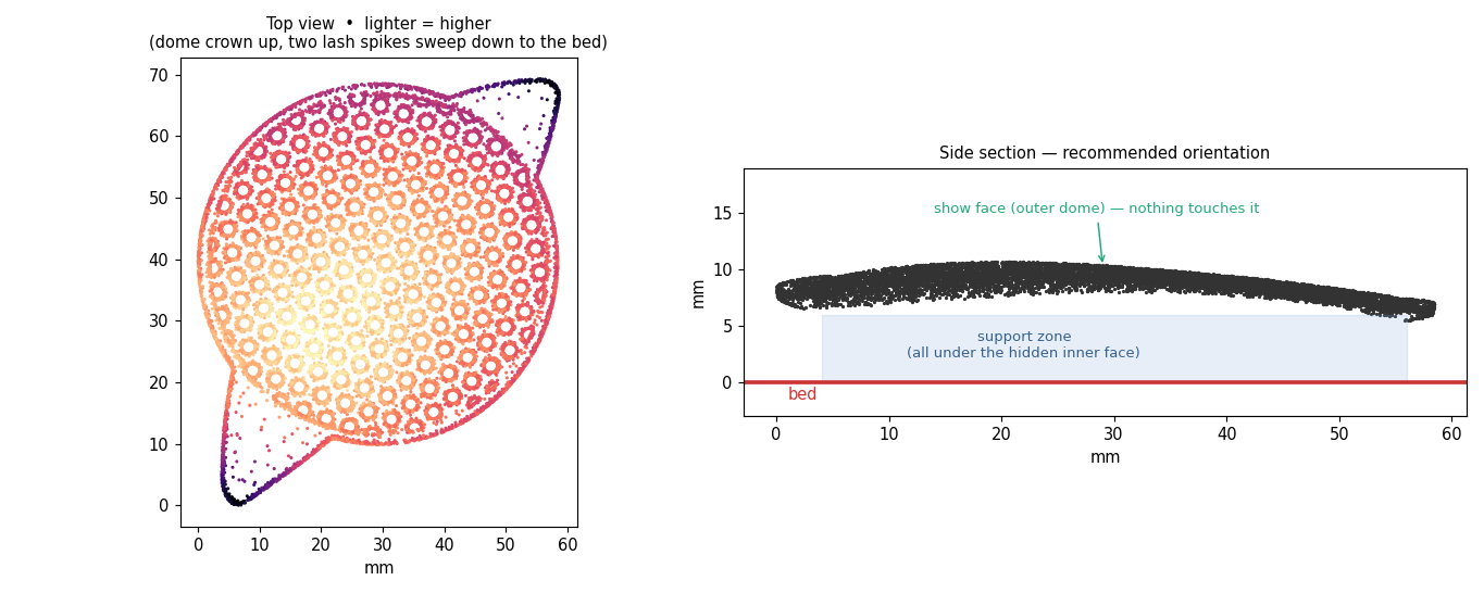 Figure 4 — Orientation plot of one of the large black lenses, as printed. Left: top view, a shallow perforated dome with two lash spikes. Right: section — the visible outer dome faces up and is nev…